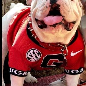 Meet your Posher, Janet